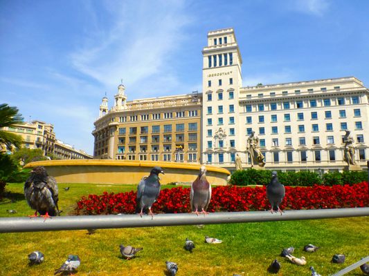 Plaça de Catalunya by null