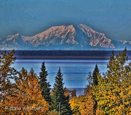 Kincaid Park by null