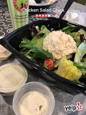 Chicken Salad Chick by null