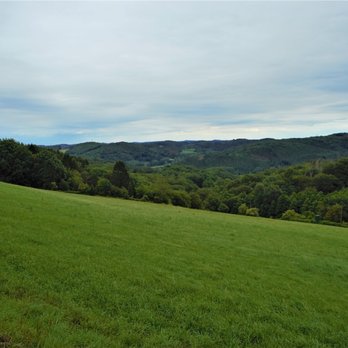 S&S Lawn Care - a view of a lush green hillside - Landscaping Near Me S&S Lawn Care - a view of a lush green hillside - Landscaping Near Me