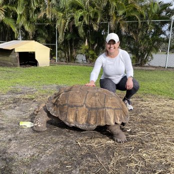 Wellington Conservation Center - Tortoise - Petting Zoos Near Me - Wellington, Florida