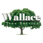 Photo of Wallace Tree Service Experts