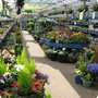 Photo of Whitehall Garden Centre