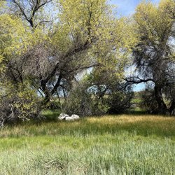 Golden Hills Nature Park