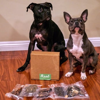 Real Dog Box - Tyson and Rue approve! - Pet Services Near Me - San Diego, California Real Dog Box - Tyson and Rue approve! - Pet Services Near Me - San Diego, California