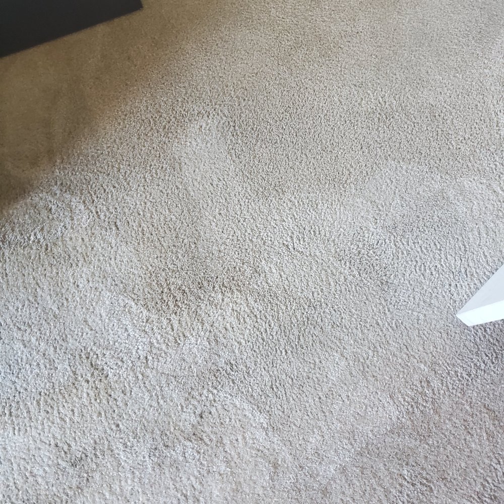 FH Carpet Cleaning - Carpet Cleaning Near Me
