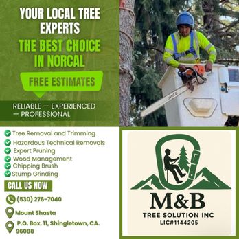 M&B Tree Solution - Offering arboriculture services - Tree Services Near Me - Shingletown, California