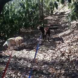 Trail near campground