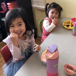 Mandarin Tree Academy