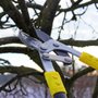 Photo of Schields Tree Service