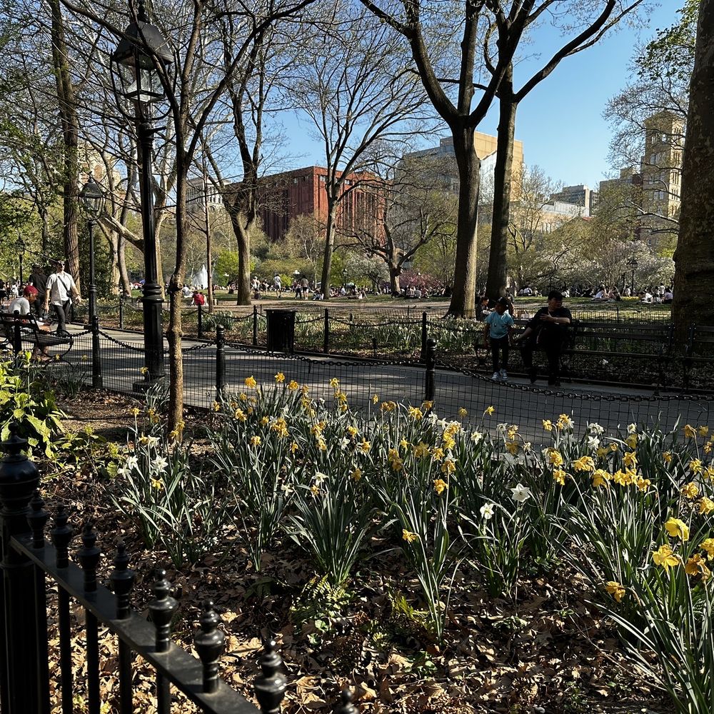 Washington Square Park - Parks Near Me - New York, New York Washington Square Park - Parks Near Me - New York, New York