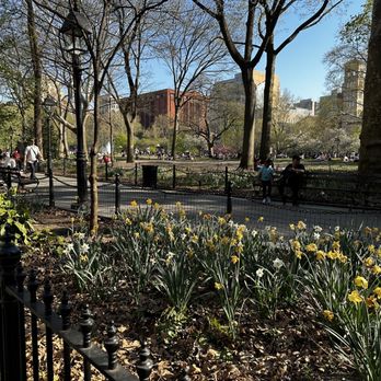 Washington Square Park - Parks Near Me - New York, New York Washington Square Park - Parks Near Me - New York, New York