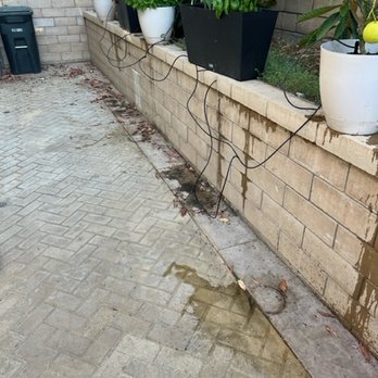 Clean House Soft Wash - Before - Pressure Washers Near Me