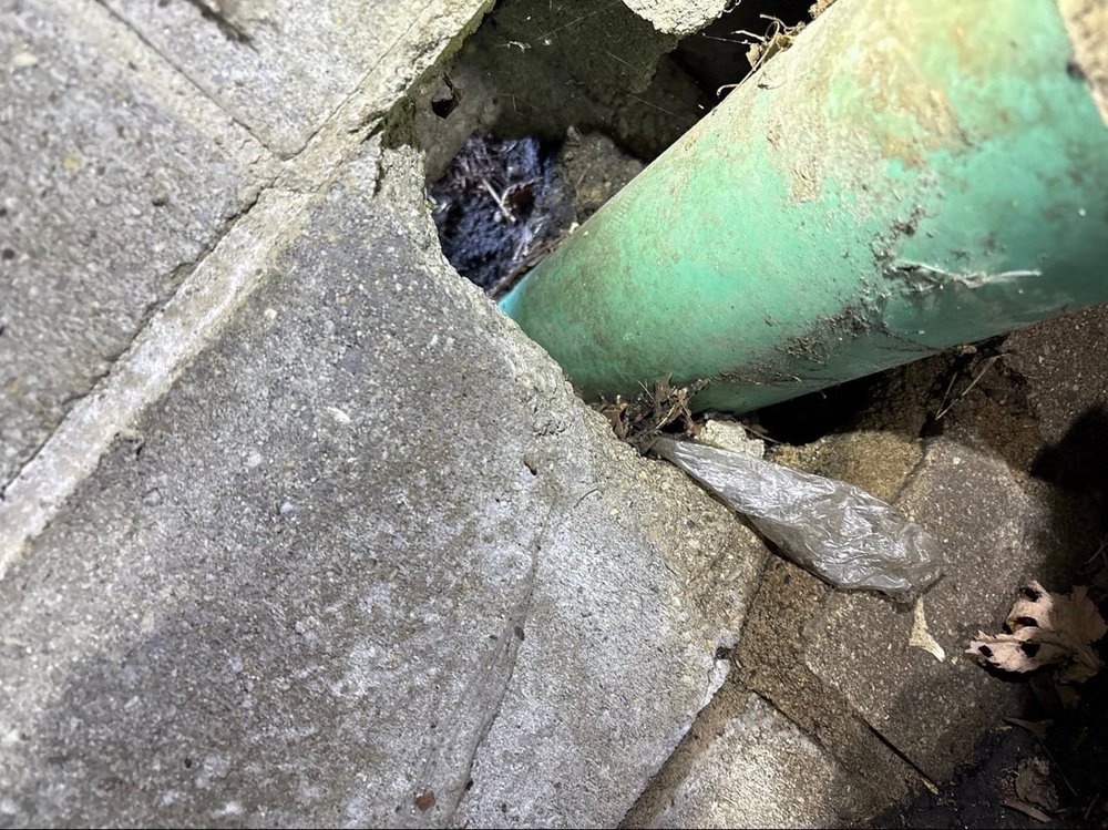 Security Home Inspections - mold inspector in Carmel, IN