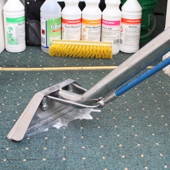 Cleaning Services Pimlico - Carpet Cleaning - Home Cleaning Near Me - London, XGL Cleaning Services Pimlico - Carpet Cleaning - Home Cleaning Near Me - London, XGL