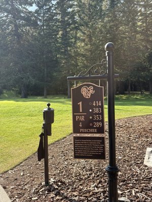 Fairmont Banff Springs Golf Course by null