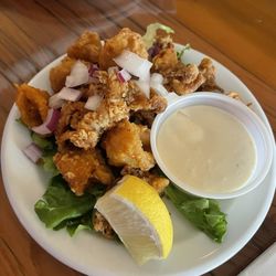 Owl Acoustic Lounge - Calamari