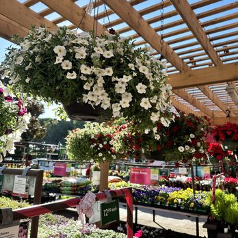 Armstrong Garden Centers - Nurseries & Gardening Near Me - Tustin, California Armstrong Garden Centers - Nurseries & Gardening Near Me - Tustin, California