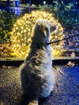 DENNY BLAINE PARK - 13 Photos & 39 Reviews - 200 Lake Washington Blvd E