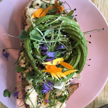 The Avocado Show - Breakfast & Brunch Near Me - Amsterdam, New Hampshire The Avocado Show - Breakfast & Brunch Near Me - Amsterdam, New Hampshire