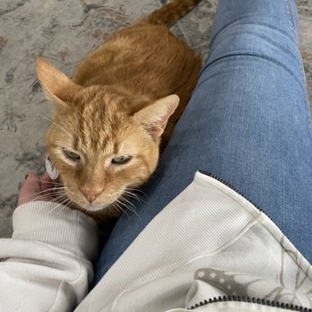 HUNTER’S KITTEN LOUNGE - Updated March 2025 - 70 Photos - 5319 E