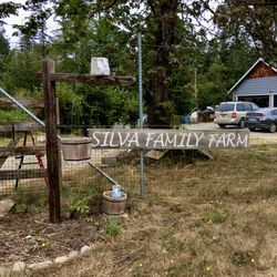 Silva Family Farm - Silva Family Farm on Bunch Lane, Oak Harbor