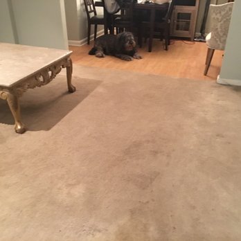 Kleenmaster Clean - Before - Carpet Cleaning Near Me