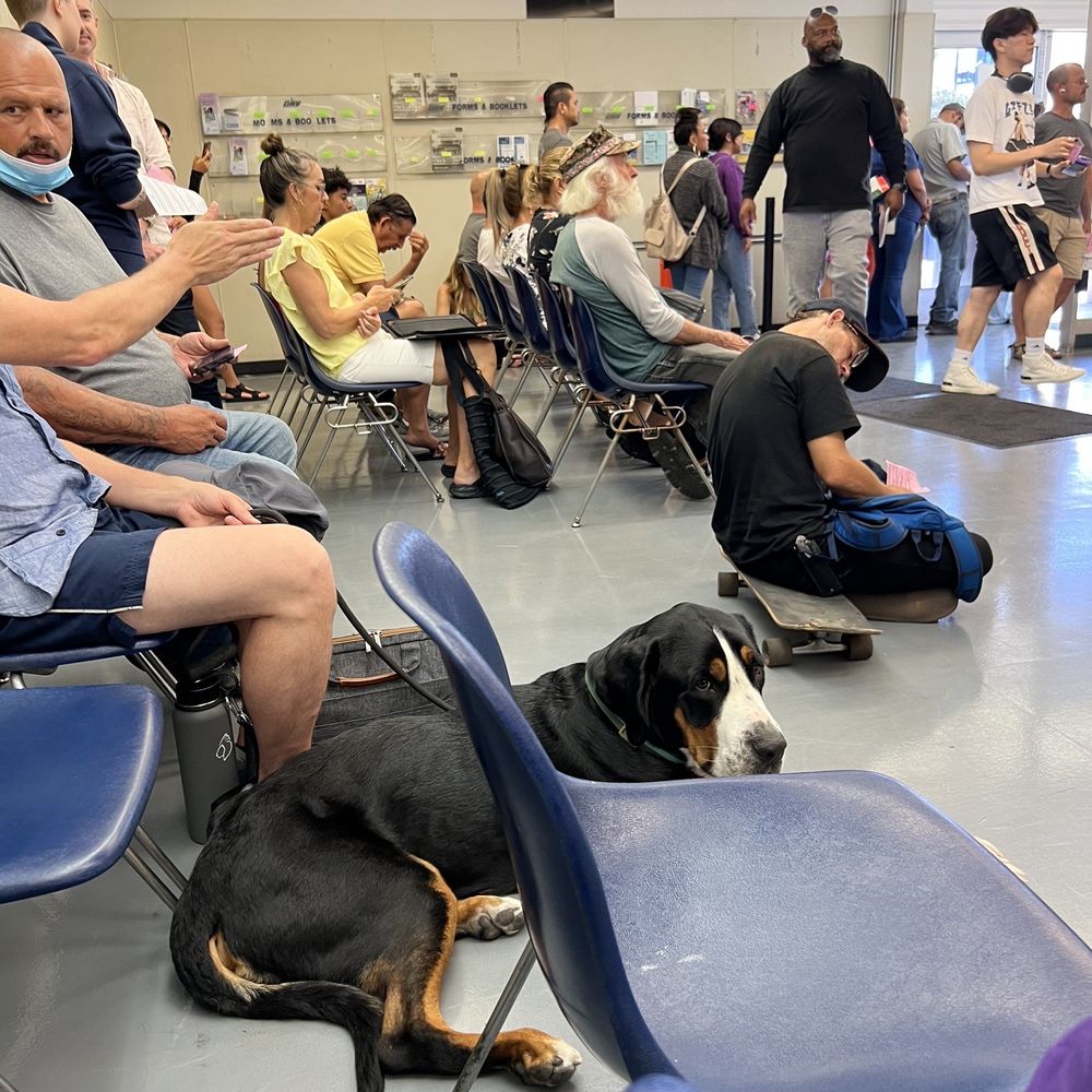 DMV - Departments of Motor Vehicles Near Me - San Diego, California DMV - Departments of Motor Vehicles Near Me - San Diego, California