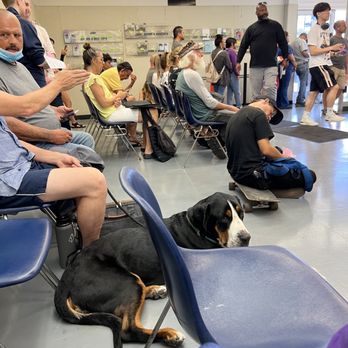 DMV - Departments of Motor Vehicles Near Me - San Diego, California