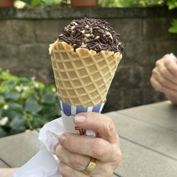 Bloom Hill Farm - Cone with sprinkles