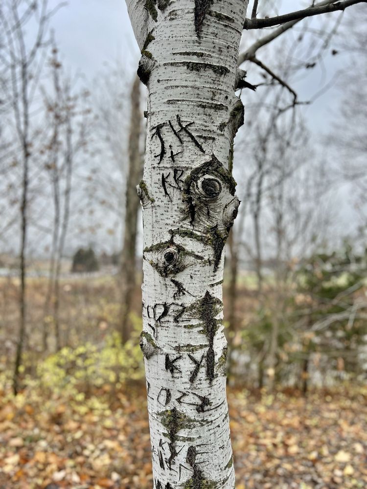 Social spots from Minnetrista