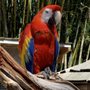 Photo of Delray Garden Center
