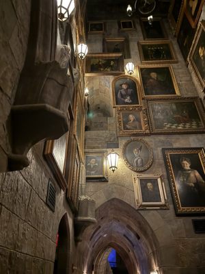 Harry Potter and the Forbidden Journey by null