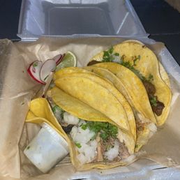 Traditional Style Tacos