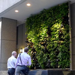Plants On Walls - Florafelt Vertical Garden, CBRE Office Tower, Downtown San Francisco.