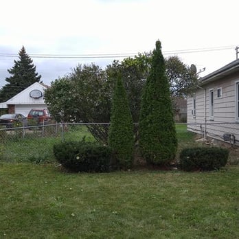 Our Family Tree Service - Tree Services Near Me - Warren, Michigan
