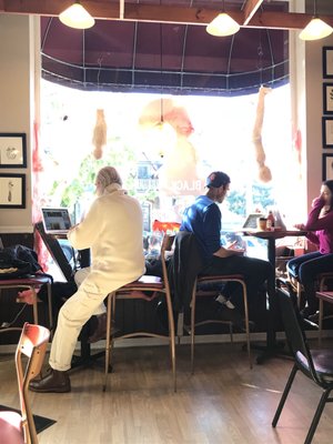 Black Cat Cafe by null