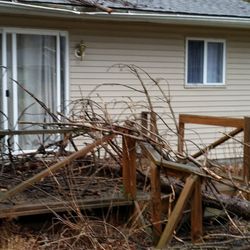 Redmond Rentals - Tree fell due to a storm. Said he'd send someone immediately. 2 months later they finally came.
