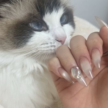 Capri Nails And Spa - Nail Salons Near Me - Oceanside, New York