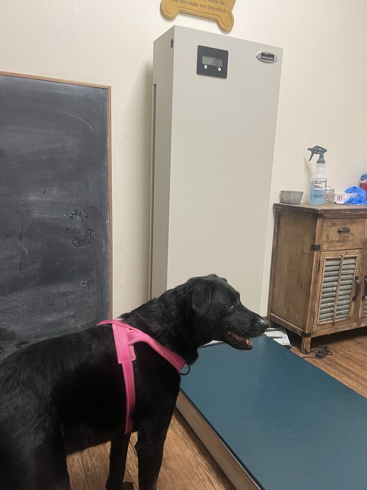 Terrell Veterinary Center Image