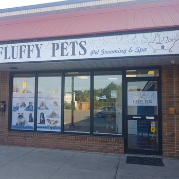 Fluffy Pets - Pet Groomers Near Me - Scarborough, Ontario