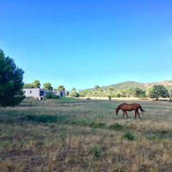Les Bergeries de Palombaghia