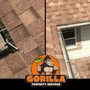 Photo of Gorilla Property Servcies