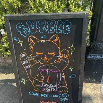 Gong Cha - There's a mellow tabby inside - Desserts Near Me - New Orleans, Louisiana Gong Cha - There's a mellow tabby inside - Desserts Near Me - New Orleans, Louisiana