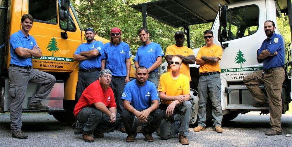 CS Tree Services - tree service in Apex, NC