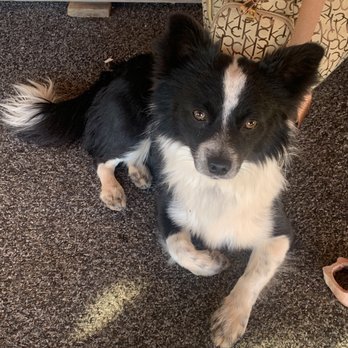 Quartzsite Beauty Salon - This is Finn and he lives here with his mom. - Hair Salons Near Me - Quartzsite, Arizona Quartzsite Beauty Salon - This is Finn and he lives here with his mom. - Hair Salons Near Me - Quartzsite, Arizona