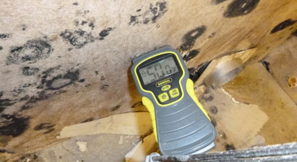 Accurate Mold Testing - mold inspector in Redmond, OR