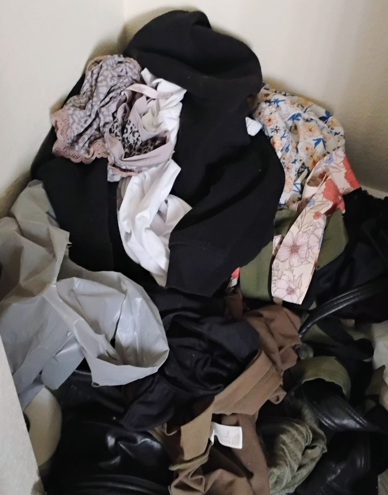 Wellness Housing - social services organization in Los Angeles, CA