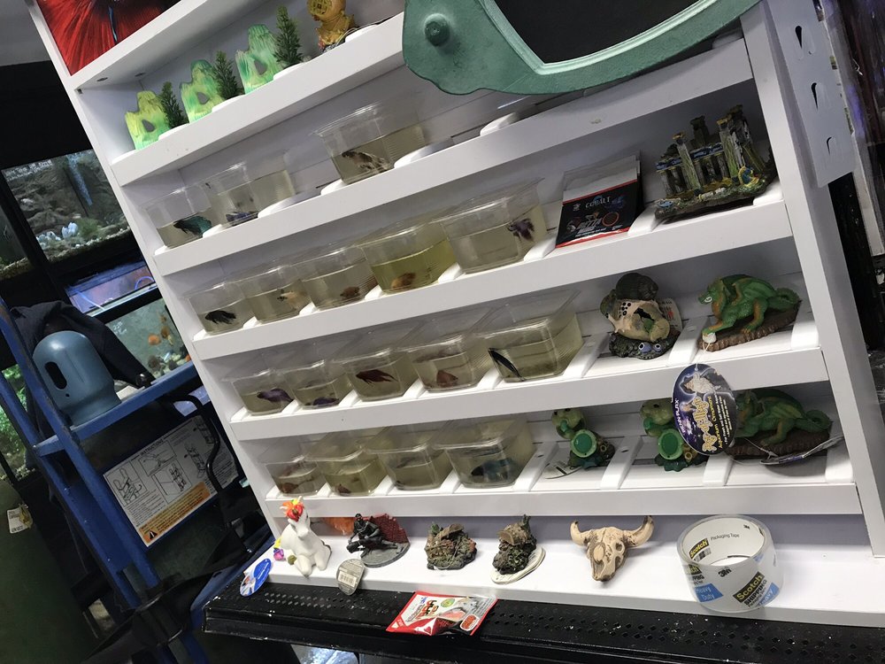 WORLDWIDE FISH AND PETS 41 Photos & 27 Reviews Local Fish Stores
