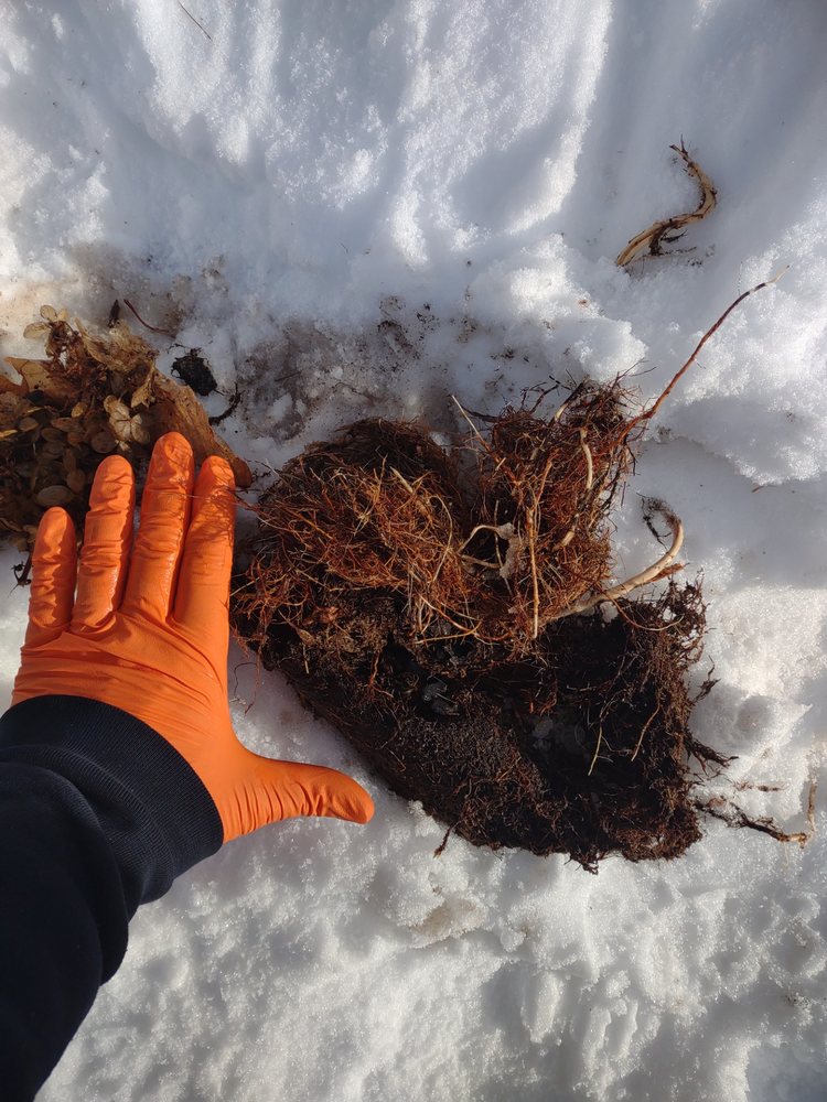 Slide of Rooter-Man of Southern Maine and New Hampshire